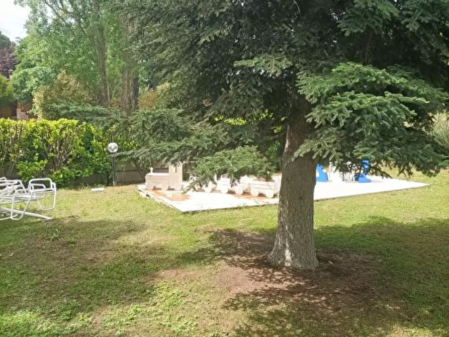 Immagine 4 di Villa in vendita  a Grumo Appula