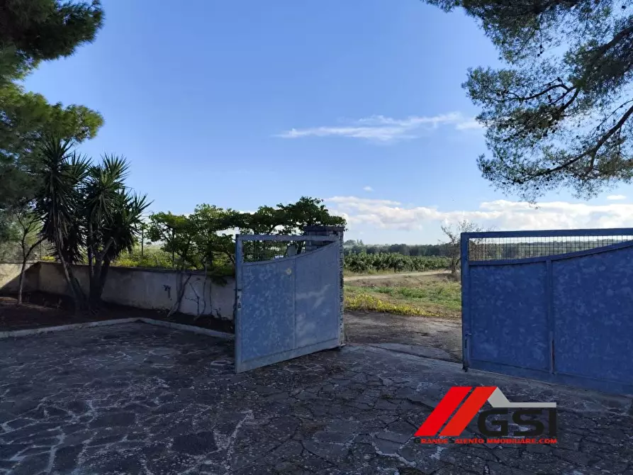 Immagine 9 di Villa in vendita  sn a San Vito Dei Normanni