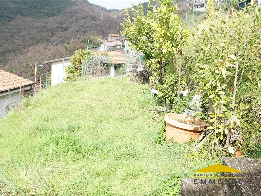 Immagine 4 di Casa indipendente in vendita  a Massa