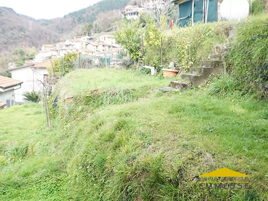 Immagine 3 di Casa indipendente in vendita  a Massa