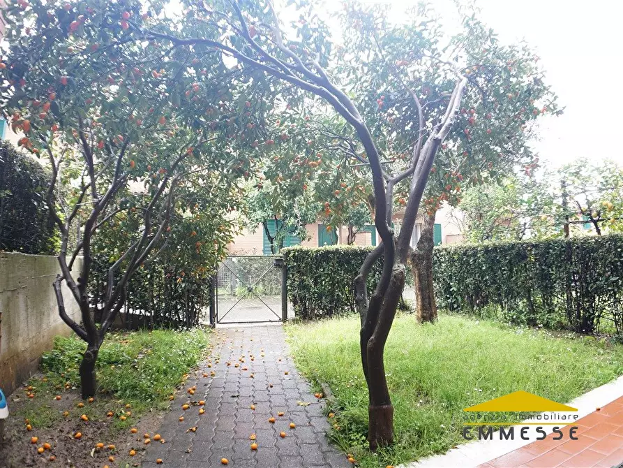 Immagine 2 di Casa indipendente in vendita  a Massa