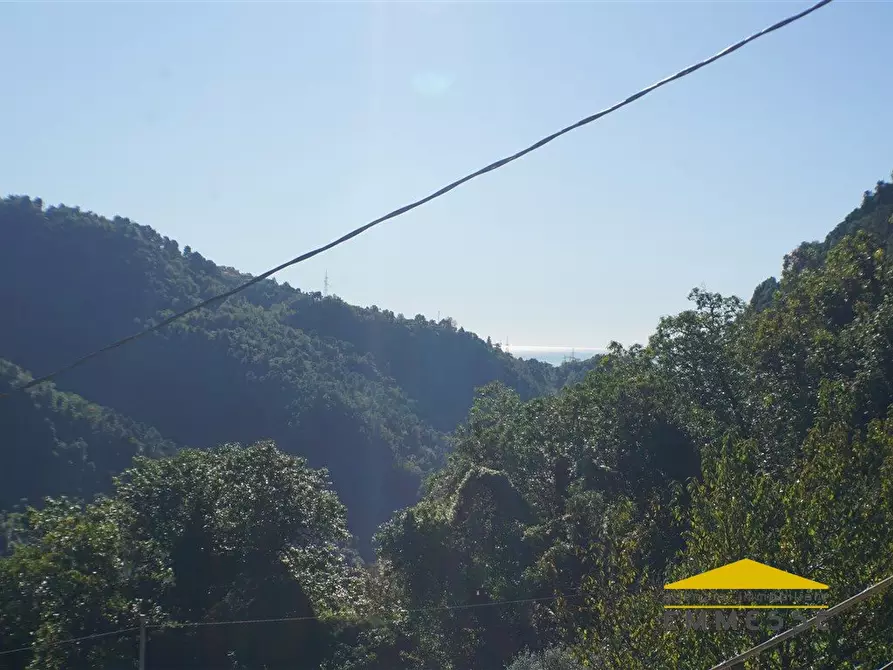 Immagine 5 di Casa indipendente in vendita  a Massa