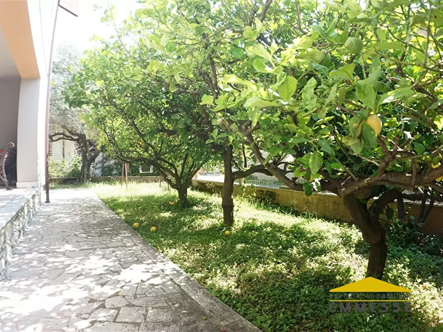 Immagine 5 di Casa indipendente in vendita  a Carrara