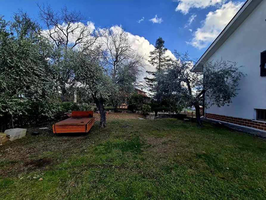 Immagine 7 di Villa in vendita  16 a Filetto