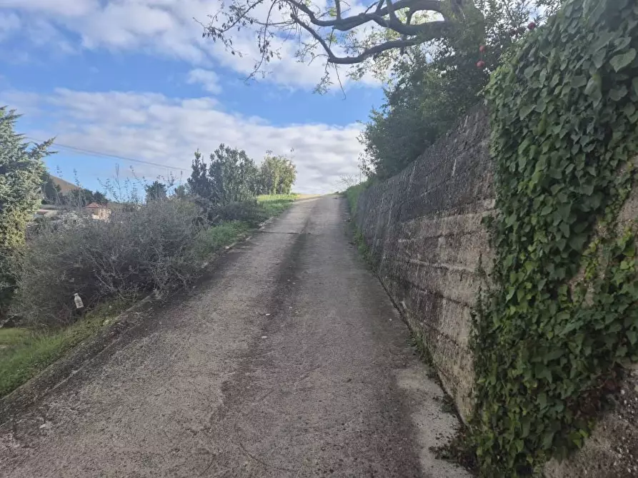 Immagine 6 di Villa in vendita  a Bucchianico