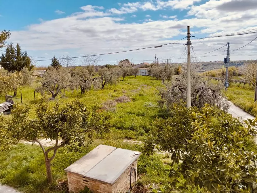 Immagine 8 di Villa in vendita  5 a Frisa