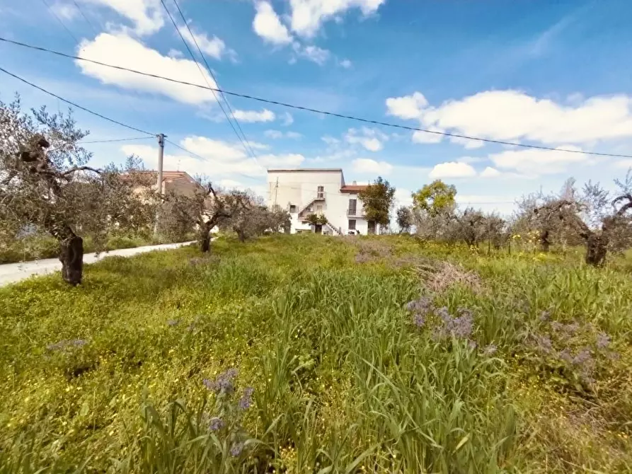 Immagine 6 di Villa in vendita  5 a Frisa