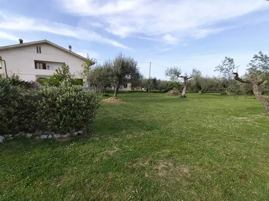 Immagine 9 di Villa in vendita  75 a Canosa Sannita