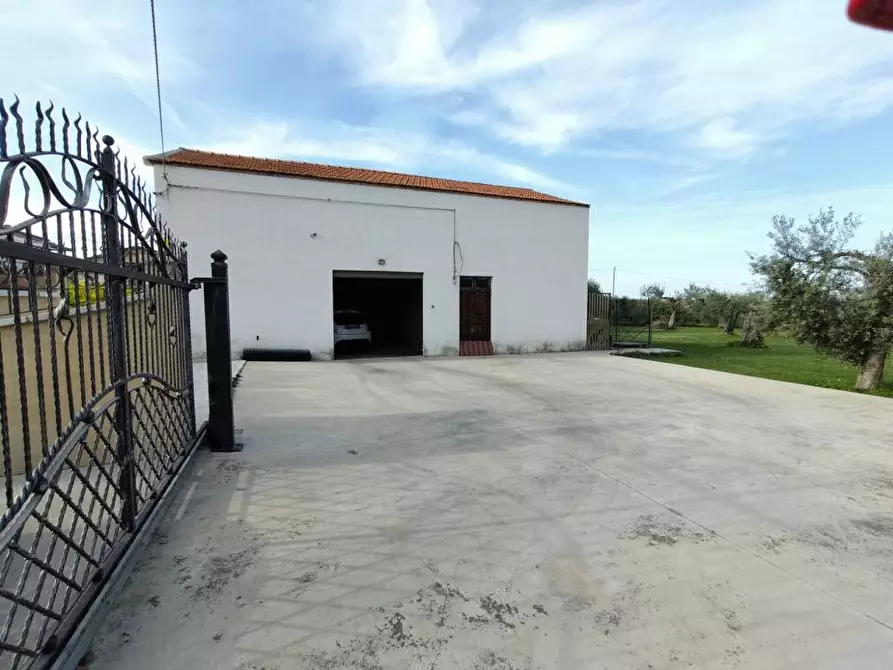 Immagine 4 di Villa in vendita  75 a Canosa Sannita