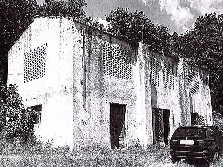 Immagine 5 di Rustico / casale in vendita  7 a Altilia