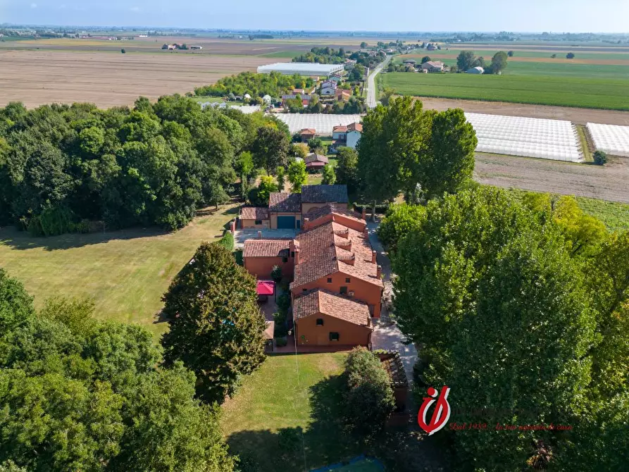 Immagine 6 di Villa in vendita  a San Bellino