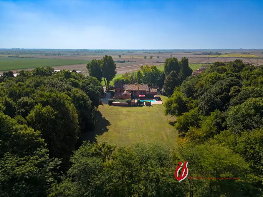 Immagine 3 di Villa in vendita  a San Bellino