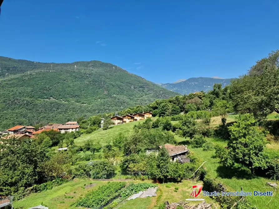 Immagine 10 di Villa in vendita  38 a Sonico