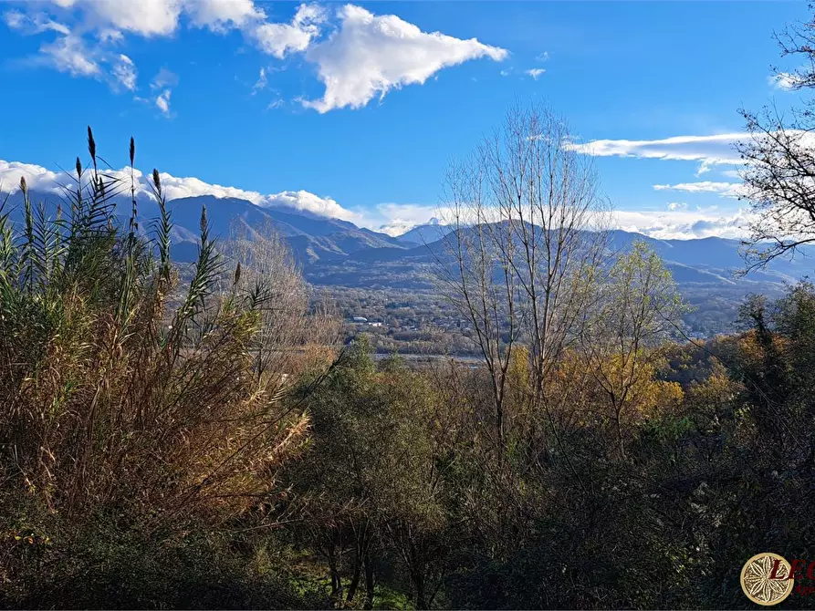 Immagine 3 di Villa in vendita  2 a Mulazzo