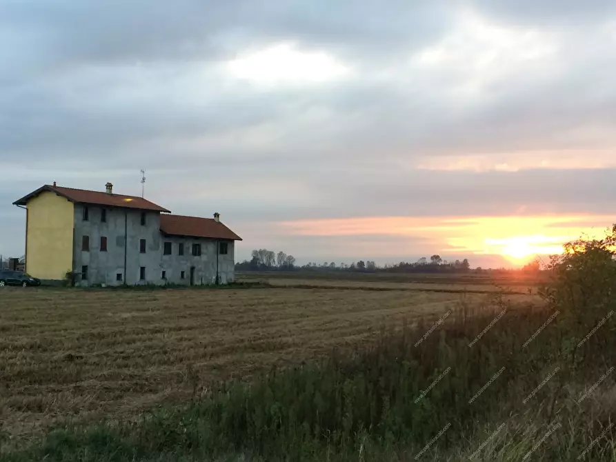 Immagine 3 di Rustico / casale in vendita  a Cerano