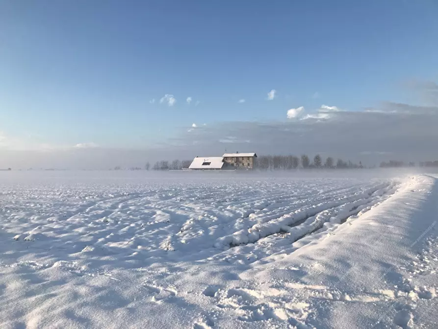 Immagine 2 di Rustico / casale in vendita  a Cerano