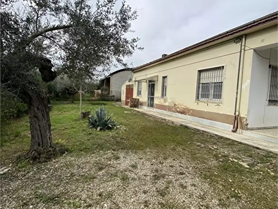 Immagine 3 di Villa in vendita  a Cepagatti