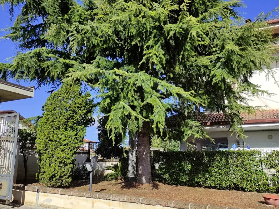 Immagine 3 di Villa in vendita  a Rosciano