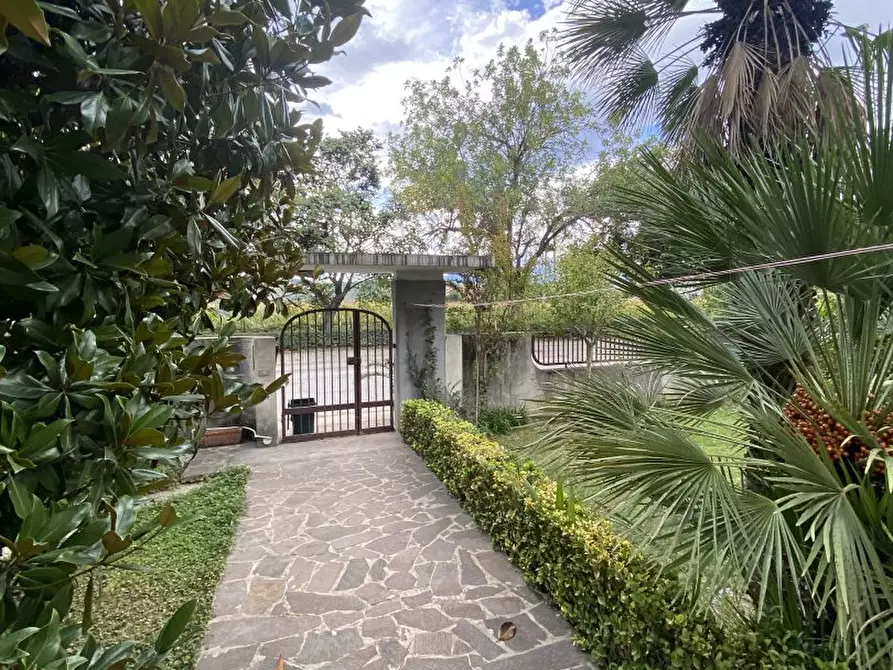 Immagine 3 di Villa in vendita  4 a Cepagatti