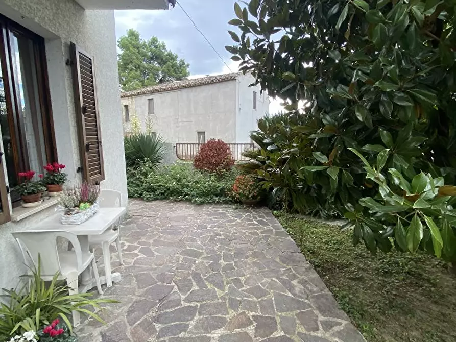 Immagine 4 di Villa in vendita  4 a Cepagatti