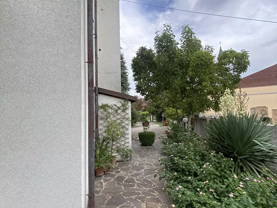 Immagine 7 di Villa in vendita  4 a Cepagatti