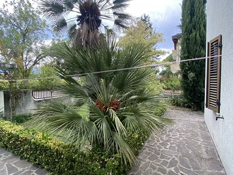 Immagine 2 di Villa in vendita  4 a Cepagatti
