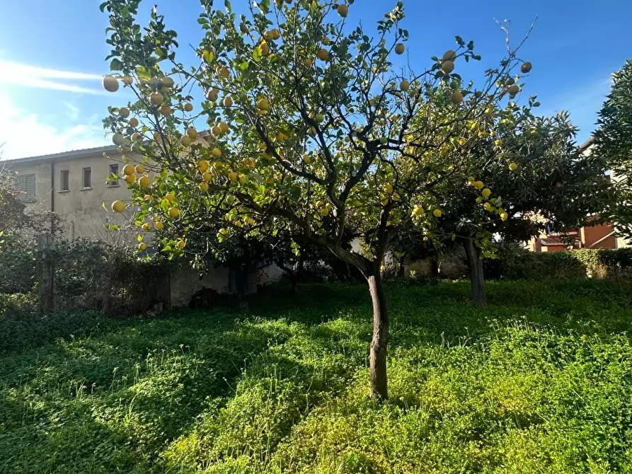 Immagine 4 di Villa in vendita  a Melito Di Porto Salvo