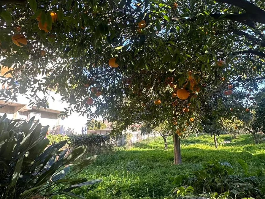 Immagine 2 di Villa in vendita  a Melito Di Porto Salvo