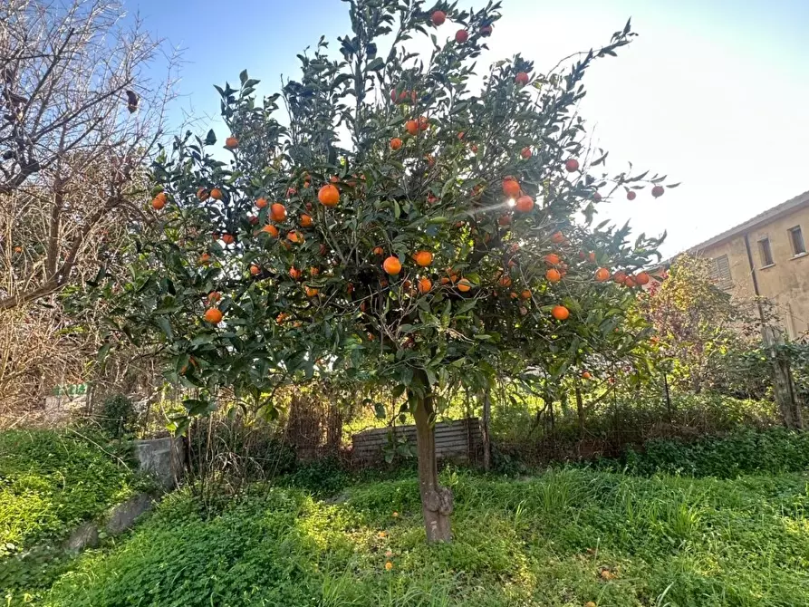 Immagine 3 di Villa in vendita  a Melito Di Porto Salvo