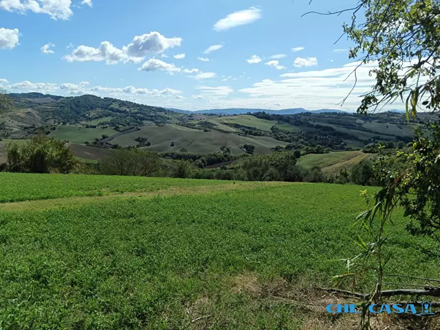 Immagine 2 di Villa in vendita  a Montefiore Conca