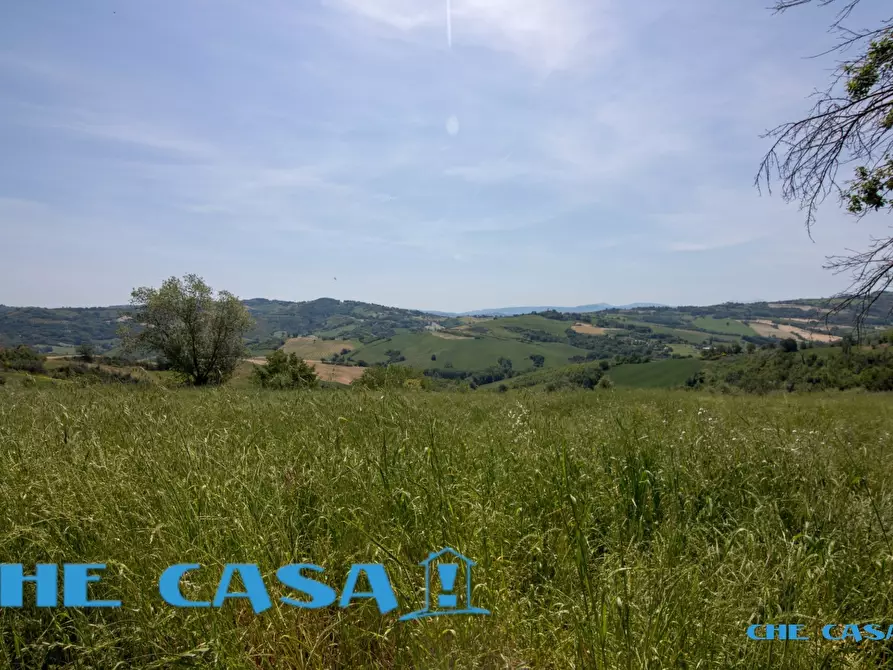 Immagine 5 di Villa in vendita  a Montefiore Conca