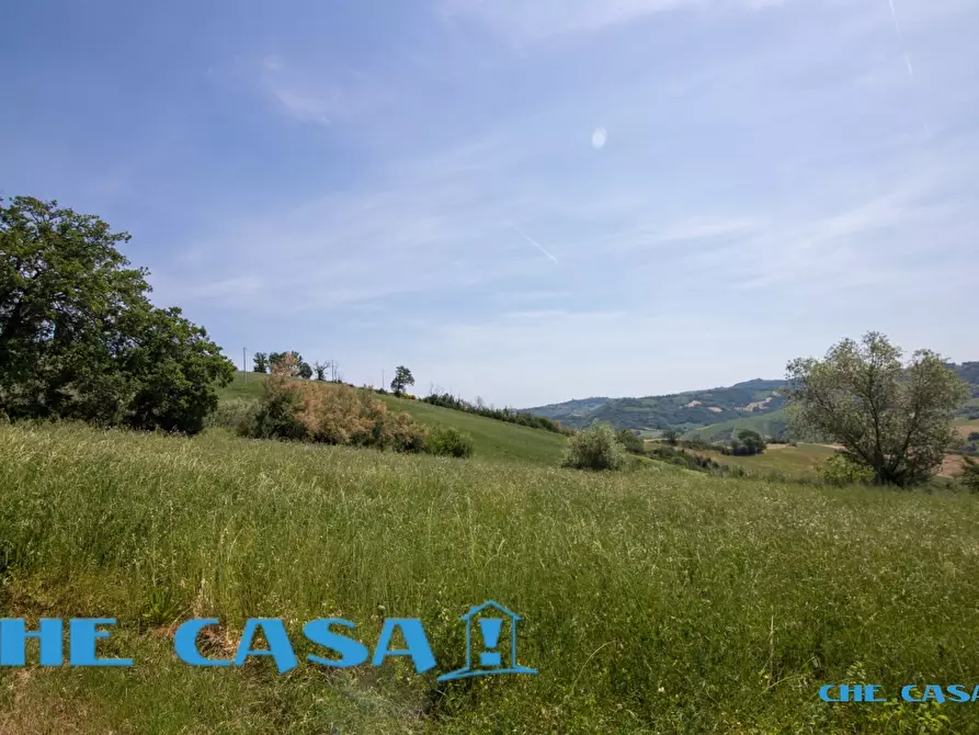 Immagine 4 di Villa in vendita  a Montefiore Conca