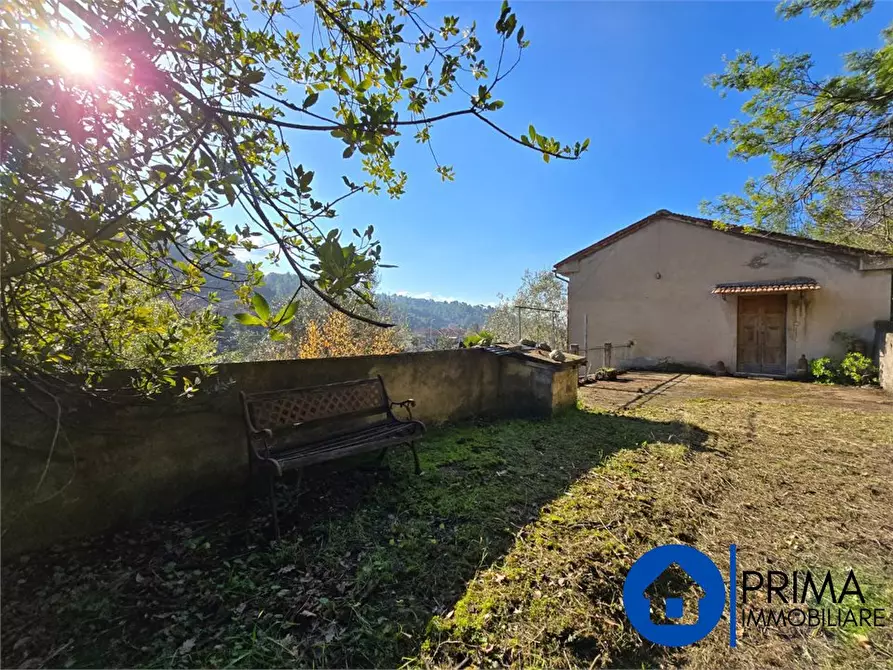 Immagine 4 di Villa in vendita  a Terni