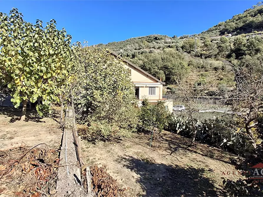 Immagine 3 di Villa in vendita  a Vallecrosia