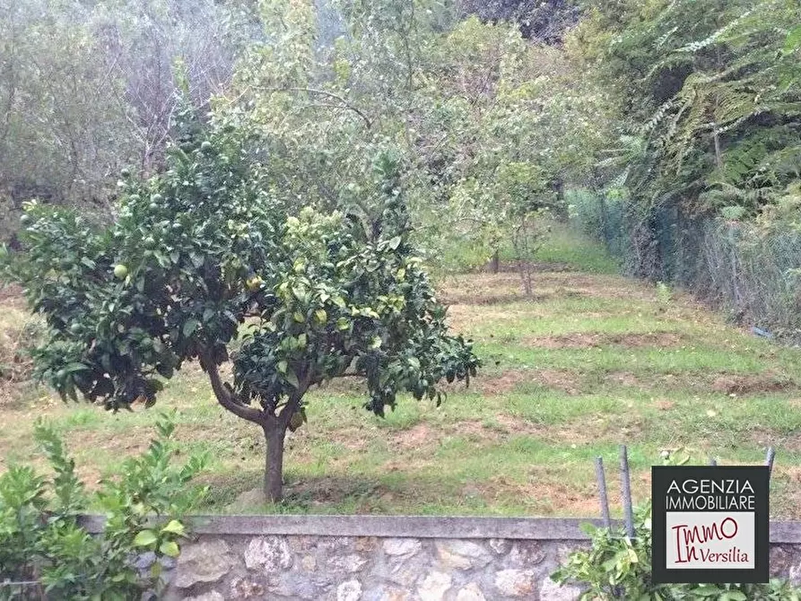 Immagine 3 di Villa in vendita  a Camaiore