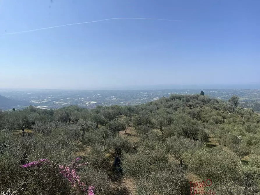 Immagine 4 di Villa in vendita  a Camaiore