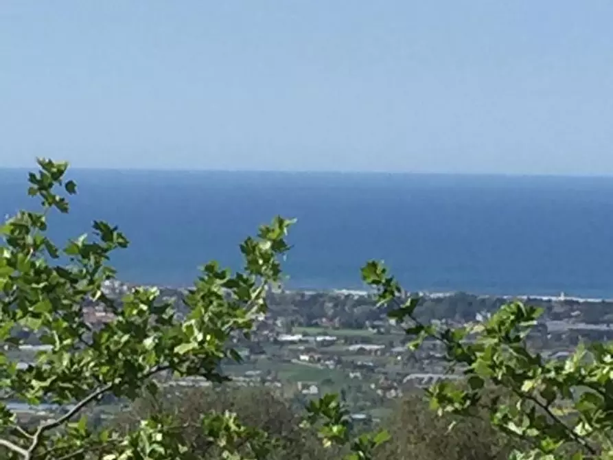 Immagine 3 di Villa in vendita  a Camaiore