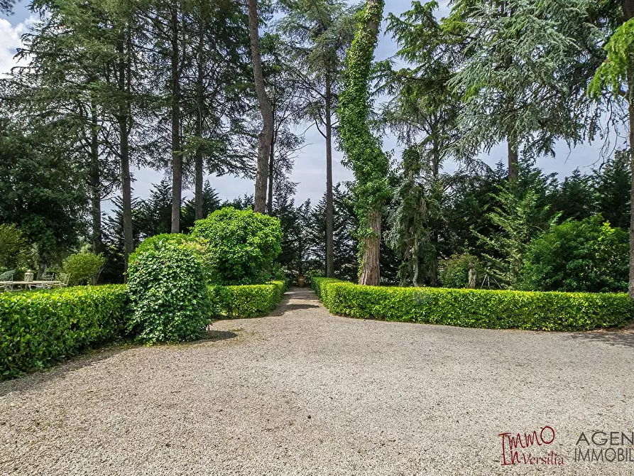 Immagine 4 di Villa in vendita  a Massarosa