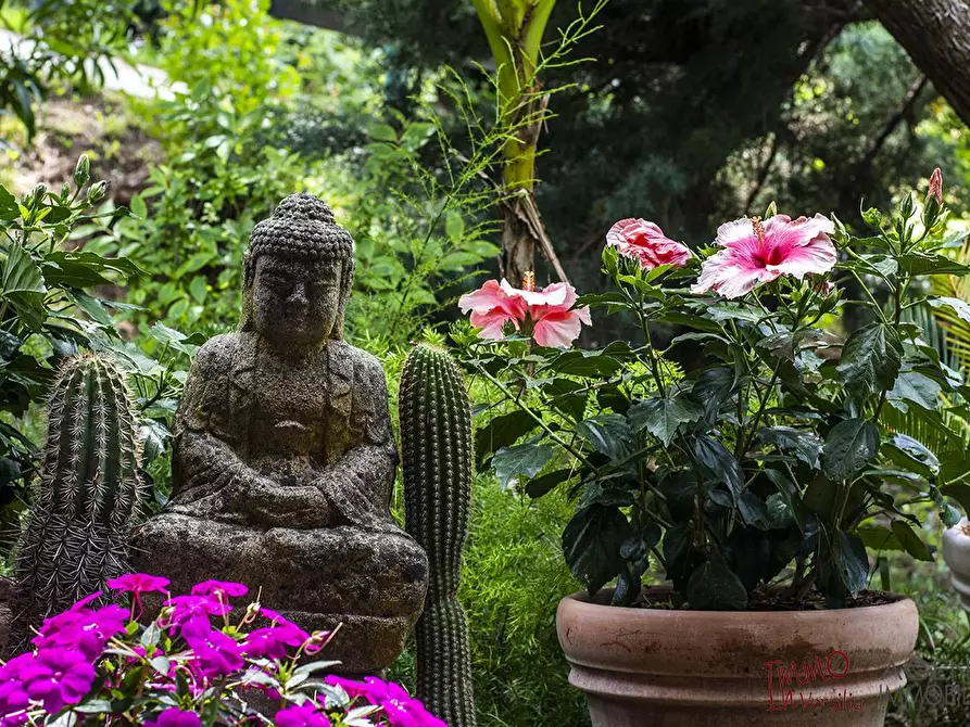 Immagine 8 di Villa in vendita  a Massarosa