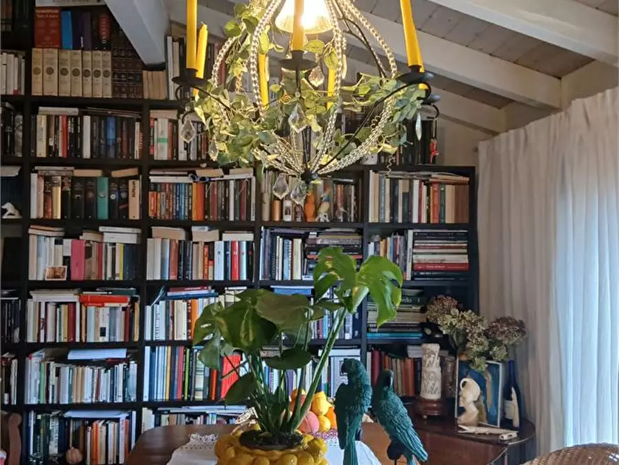 Immagine 5 di Villa in vendita  a Pietrasanta