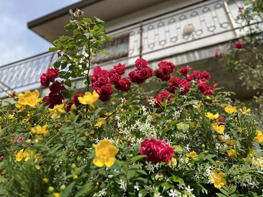 Immagine 8 di Villa in vendita  a Mulazzo