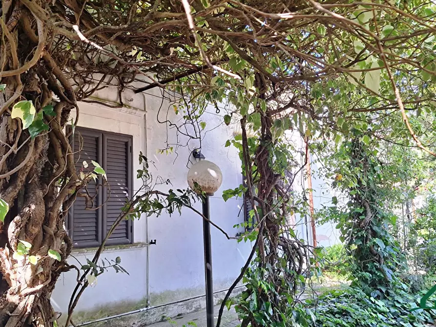 Immagine 9 di Villa in vendita  a Messina