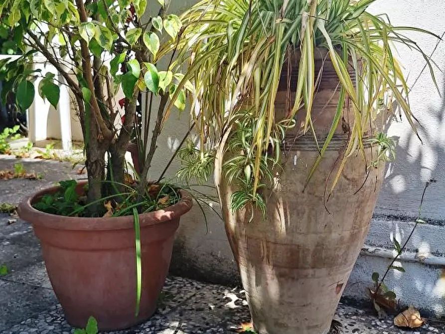 Immagine 5 di Villa in vendita  a Messina