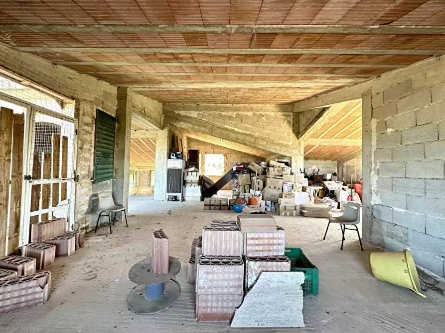 Immagine 2 di Villa in vendita  SNC a Terrasini