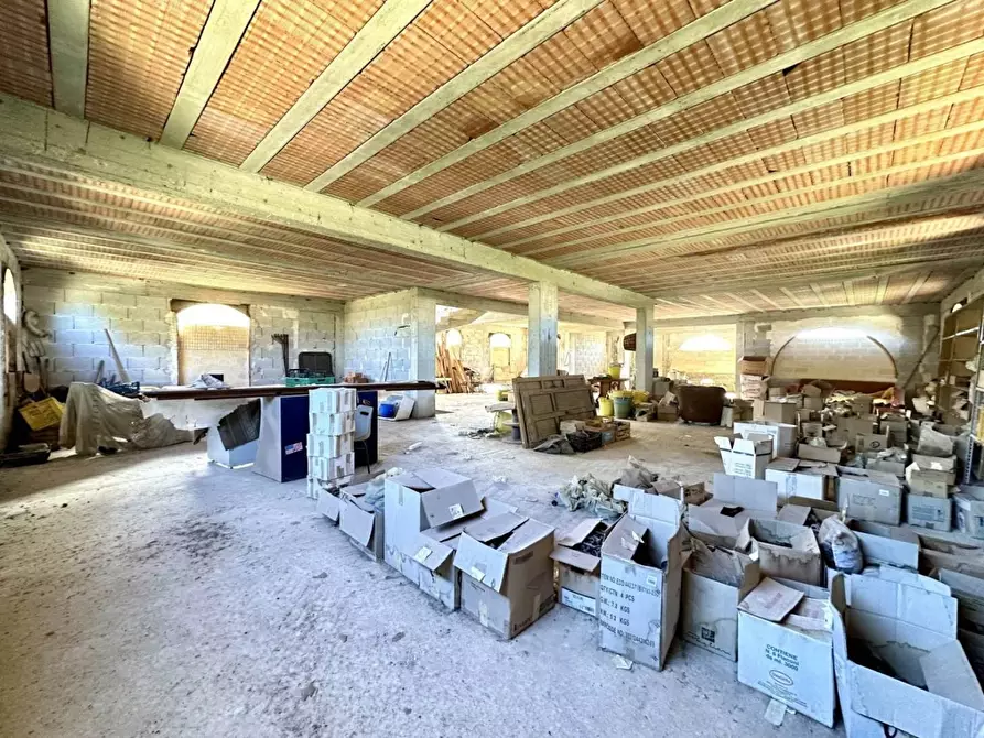 Immagine 3 di Villa in vendita  SNC a Terrasini