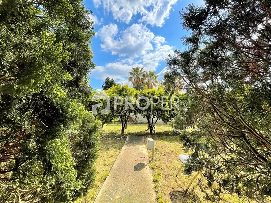 Immagine 5 di Villa in vendita  a Carini