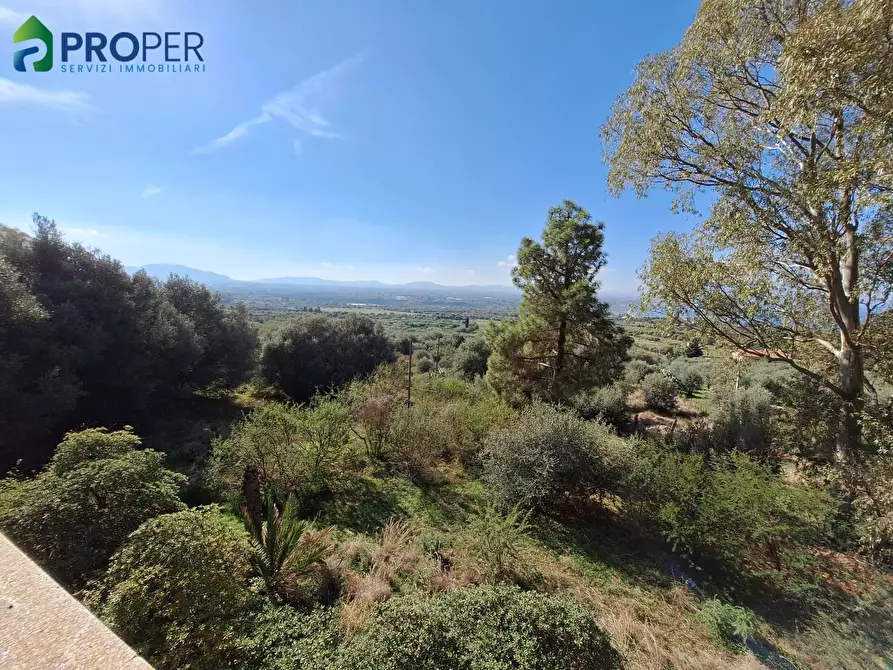 Immagine 6 di Villa in vendita  SNC a Terrasini