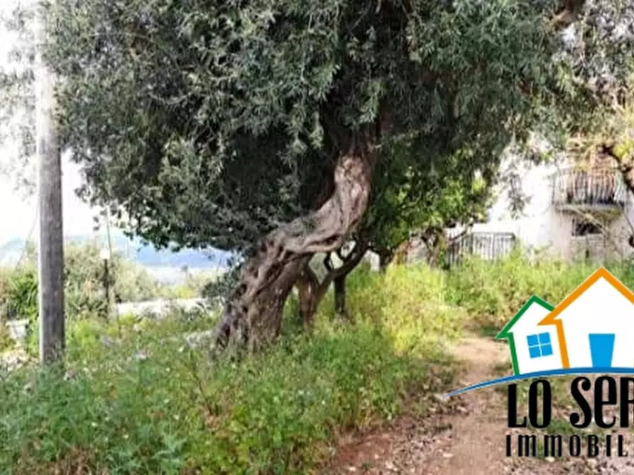 Immagine 4 di Villa in vendita  a Palermo