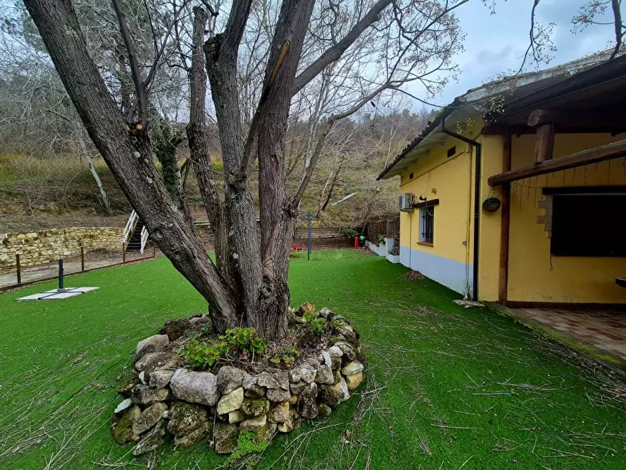 Immagine 8 di Villa in vendita  a Manoppello