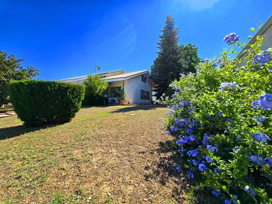 casa indipendente in vendita a Città Sant'Angelo